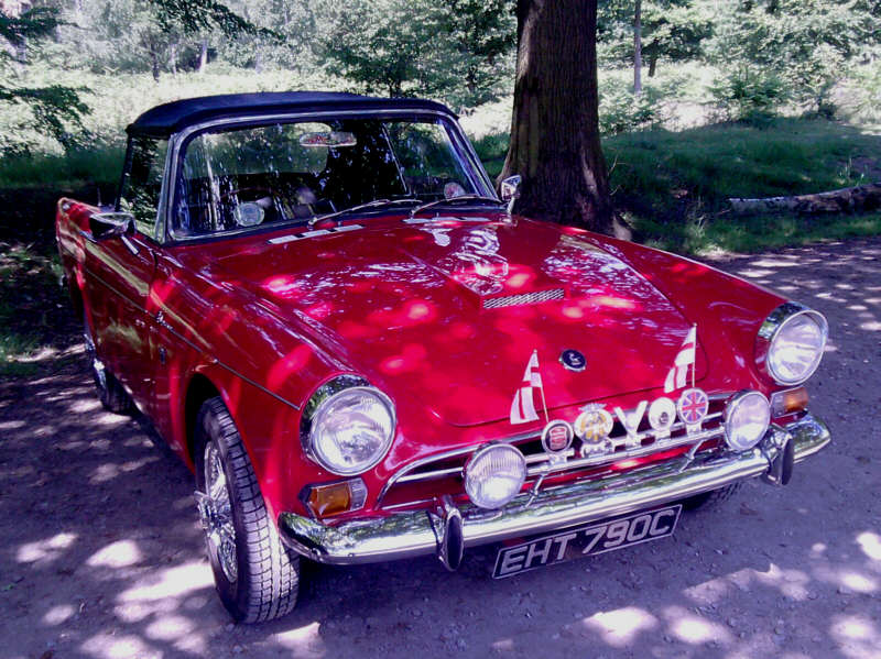 Ted's Alpine.