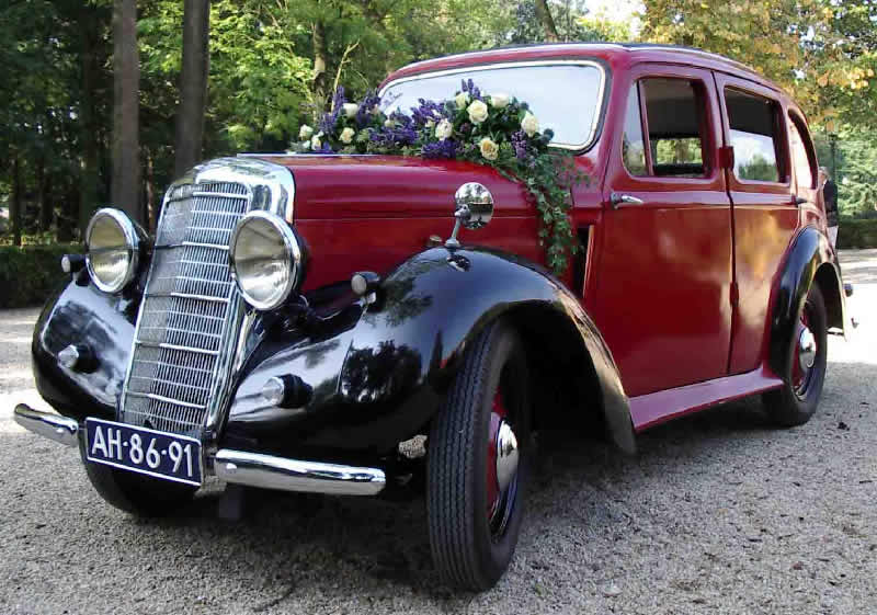 Stefan & Maykes Minx